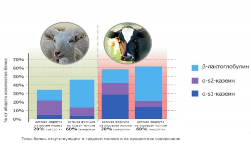 Сравнение на количеството протеин в козе и краве мляко