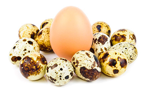 Пилешки и пъдпъдъчени яйца