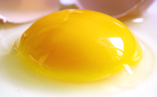 Суров яйчен жълтък