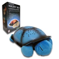 Нощна костенурка