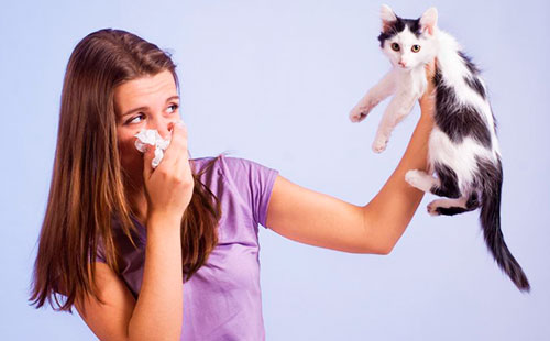 Една жена държи котка
