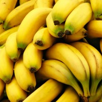 Много жълти и узрели банани