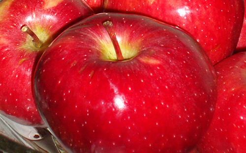 Сочни червени ябълки от отрова не крият