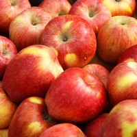 Плеър на червени ябълки, които носят здраве