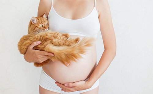 Бременна момиче с котка в ръце