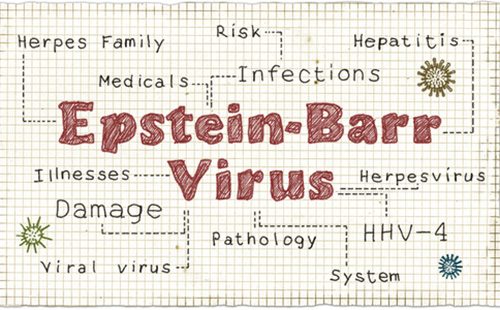 Вирусът на Епщайн Бара