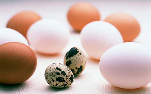Пилешки и пъдпъдъчени яйца